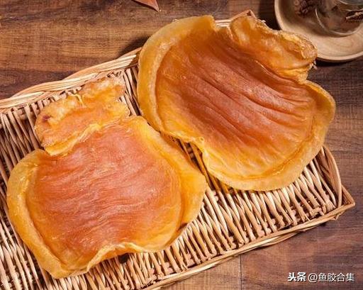 赏谈赤嘴鳘鱼胶种类及作用