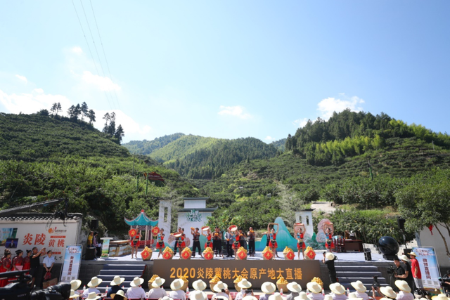 “炎陵黄桃”正式上市销售 “黄桃大会”助力500万斤订单飞出大山