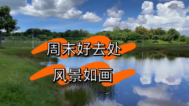 新加坡的一家人 周末女儿上完课 去一个很漂亮的地方 看看是哪？