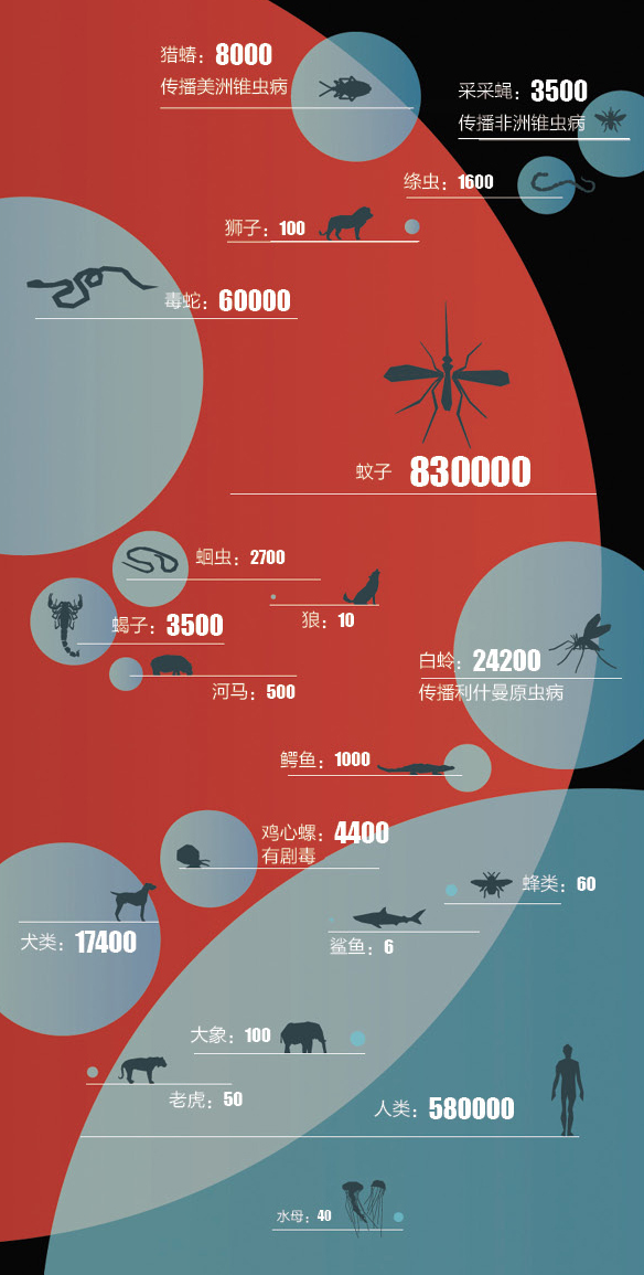 小小的蚊子，能传播80多种疾病，每年能“杀死”70万人