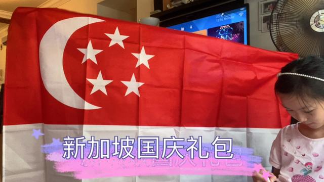 新加坡，每年的国庆礼包拿到了，疫情期间的礼包特别又实用