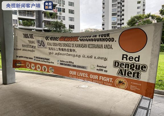 登革热病例逼近2万例 新加坡展开2周全国灭蚊行动