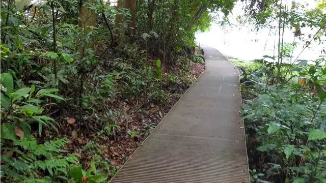 新加坡麦里芝蓄水池水边步行道，风景如画