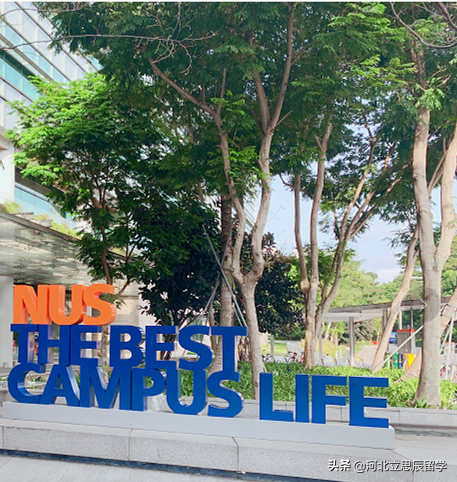 想拥有全球顶尖的教学资源？选择新加坡国立大学