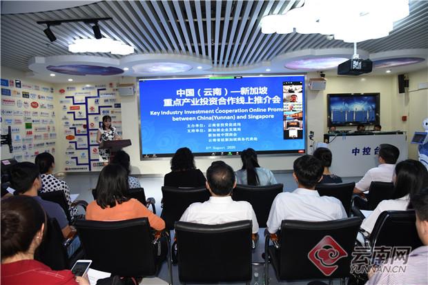 相聚“云”端 中国（云南）—新加坡重点产业投资合作线上推介会在昆举行