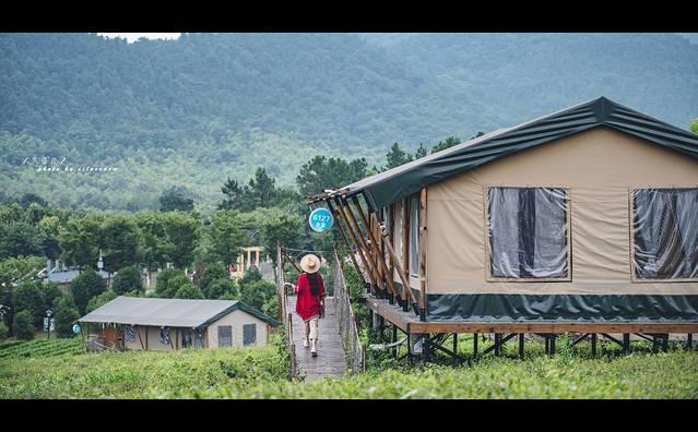 江苏避暑地，茅山宝盛园：睡在竹海，漂进丛林，清凉一夏