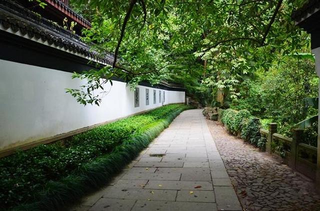 「骆驼旅行-杭州」雾里雨里，我会一直记得你（上）