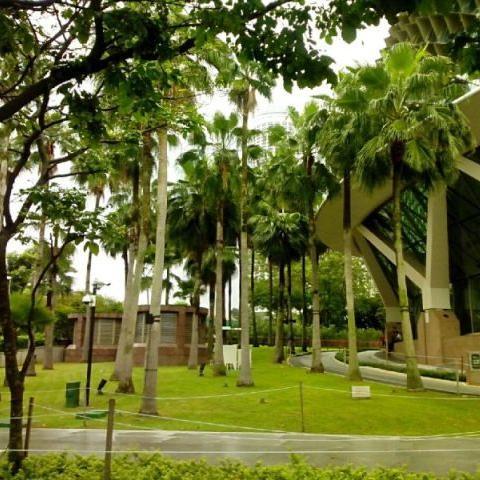 新加坡的自然风光