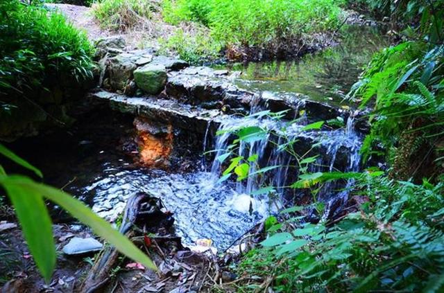 「骆驼旅行-杭州」雾里雨里，我会一直记得你（上）