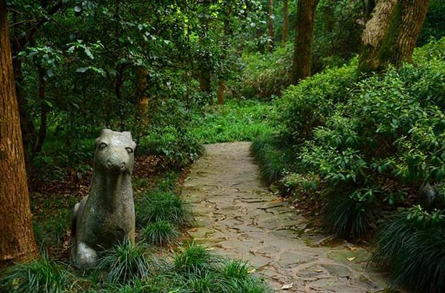 「骆驼旅行-杭州」雾里雨里，我会一直记得你（上）