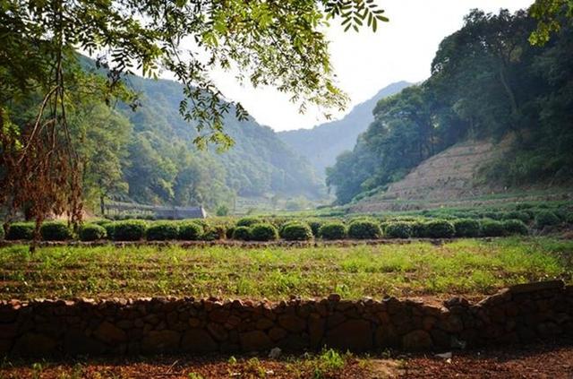 「骆驼旅行-杭州」雾里雨里，我会一直记得你（上）