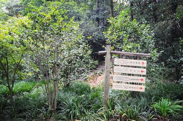 「骆驼旅行-杭州」雾里雨里，我会一直记得你（上）