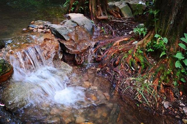 「骆驼旅行-杭州」雾里雨里，我会一直记得你（上）