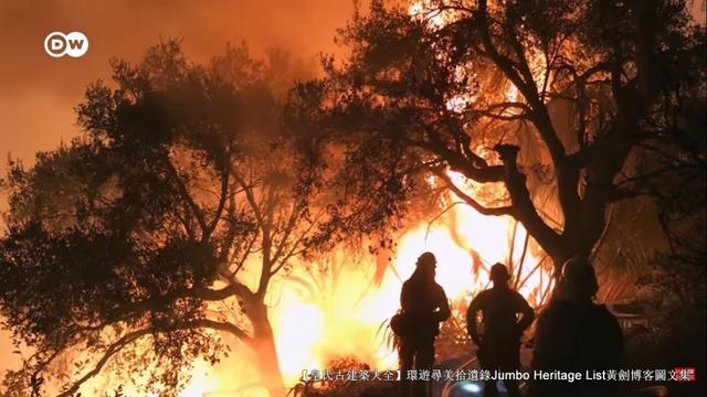 第4027回：气候炸弹亚洲纸浆，水上烟泥炭地退化