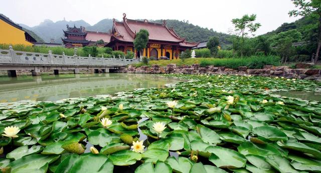 浙江佛教影像：绍兴炉峰禅寺