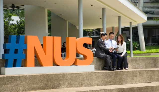 新加坡国立大学（NUS）系统分析专业解析
