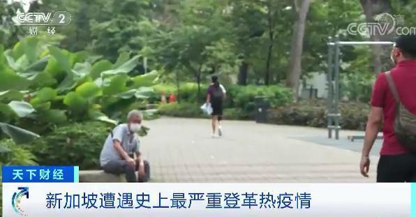 已超2万例！新加坡遇史上最严重登革热疫情