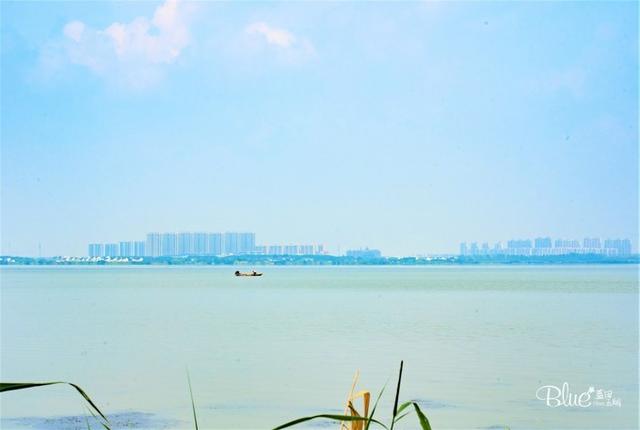 苏州相城，太多美食和美景，游客来了都不想走