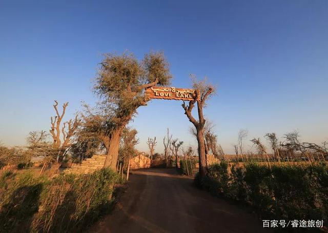 找一个景观设计师恋爱吧，他会为你画出最浪漫的风景