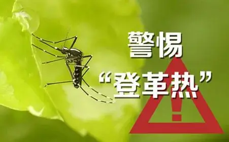 想抓住夏天的小尾巴去南方旅游？需警惕这个病