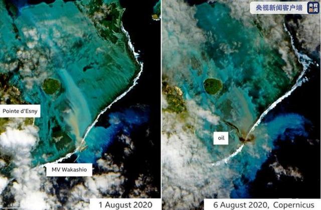 天堂毛里求斯被1000多吨燃油泄漏污染 数千名志愿者自发清理油污