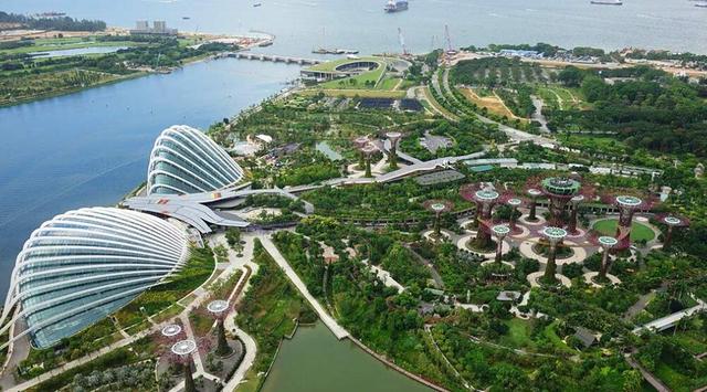 新加坡你花园城市的“脸”还要吗？水面铺设太阳是要当钢铁侠？