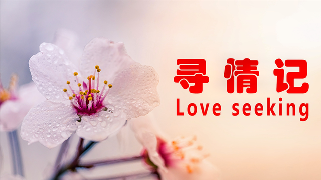 寻情记20150925期：妻子两本护照：到底是长沙老婆还是新加坡媳妇