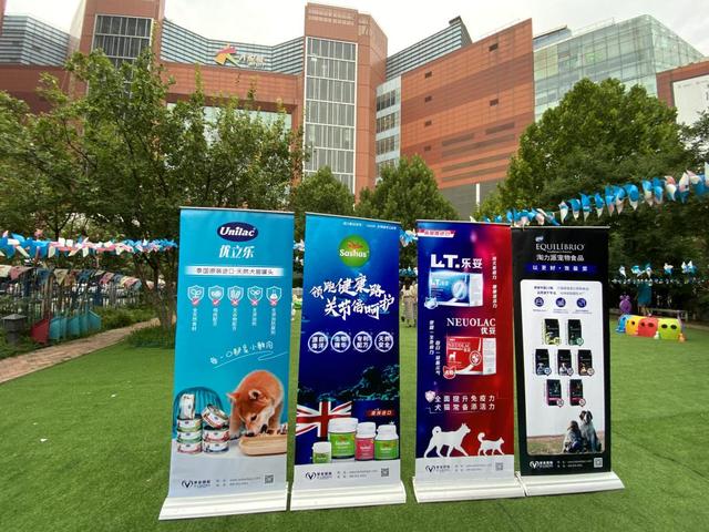 小聚会 大满足｜集宠国际带你直击活动第一现场