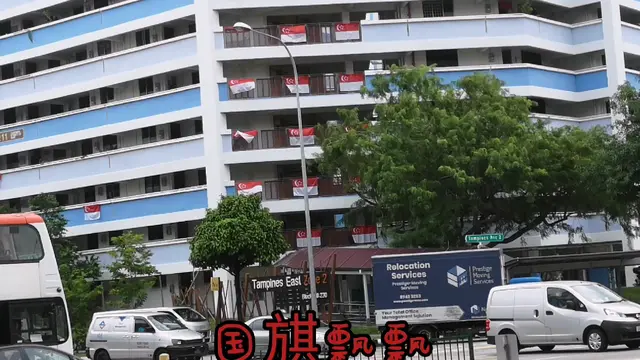 在新加坡，国旗经常出现在组屋上、道路边。