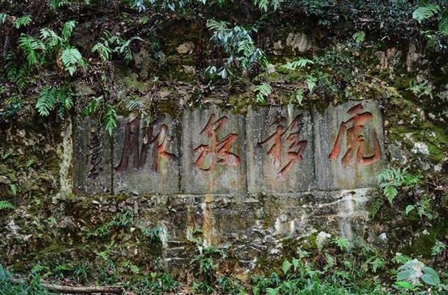 「骆驼旅行-杭州」雾里雨里，我会一直记得你（上）