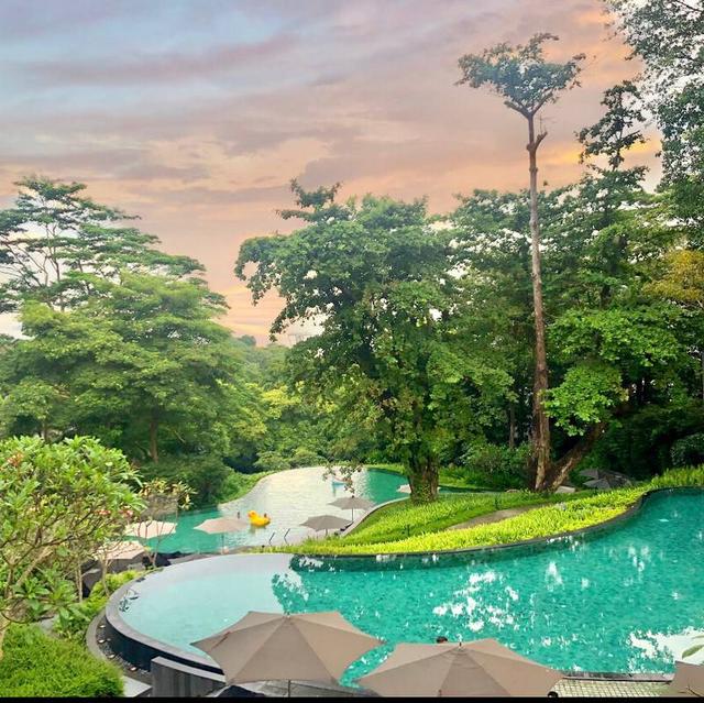 新加坡—之假装在巴厘  疫情期间 只能乖乖呆在坡坡 如果你和我一样有一颗想旅行的心 那么去坡坡的度假小圣地吧： 位于圣淘沙的Capella绝对再适合不过啦 2019年获得世界最佳酒店  本地人都喜欢 