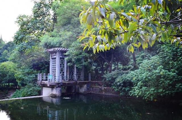 「骆驼旅行-杭州」雾里雨里，我会一直记得你（上）