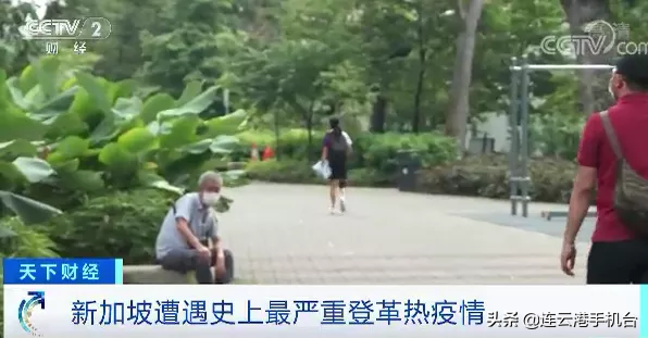 新加坡超过2万人感染登革热