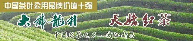 「关注」茶界新势力进军袋泡茶市场，未来可期