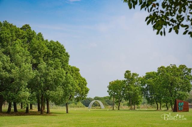 苏州相城，太多美食和美景，游客来了都不想走