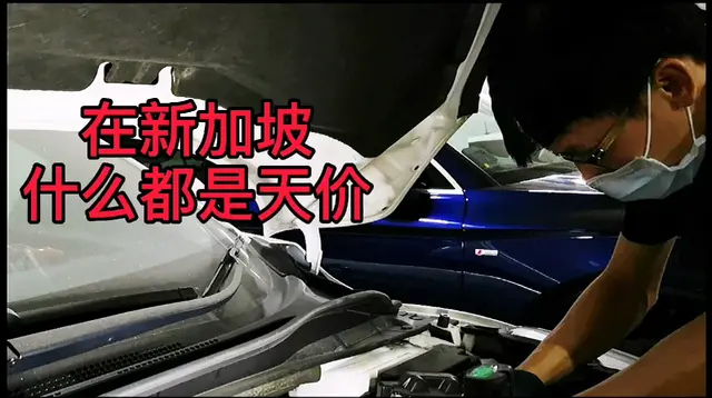 新加坡消费超高的国家，车子换个电池这个价格是天价吗？