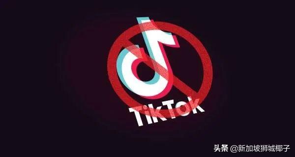 微软暂停收购！TikTok被围剿，“中国好朋友”扎克伯格原形毕露