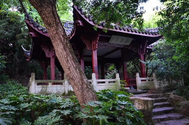 「骆驼旅行-杭州」雾里雨里，我会一直记得你（上）