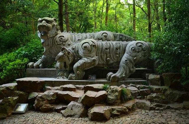 「骆驼旅行-杭州」雾里雨里，我会一直记得你（上）