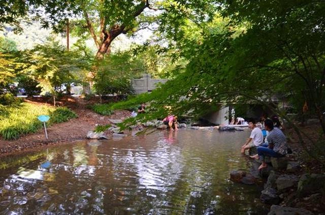 「骆驼旅行-杭州」雾里雨里，我会一直记得你（上）