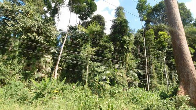 三口之家旅行到泰国的最南端：除了热，甲米没有太多惊艳的地方