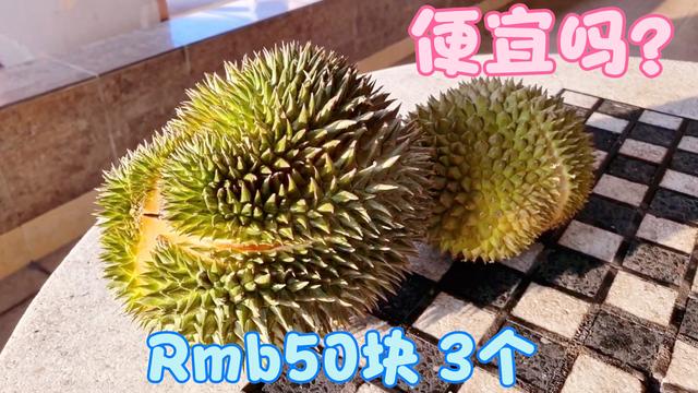 新加坡榴莲品种多，50块钱可以买3个？绿皮黄肉，太有诱惑力了！