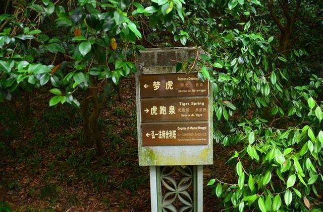 「骆驼旅行-杭州」雾里雨里，我会一直记得你（上）