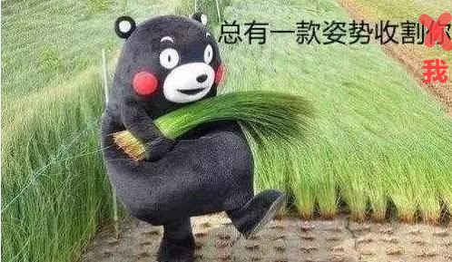 热播剧男主留学首选！新加坡的学校到底好在哪？