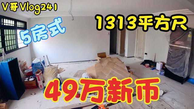 新加坡V哥到底该不该找合作伙伴？旧房子比较大！你觉得呢？