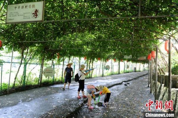 一个“中国淘宝村”的致富经：“美丽乡村”建设要有可持续发展产业