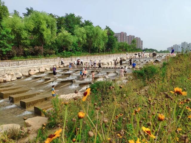 凉快还全免费！今夏一定要打卡的湖公园：挖沙呲水，拿网捞鱼，还有大草坪疯跑