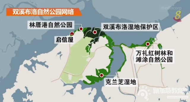 新加坡公园将连接湿地，开辟自然公园新网络~