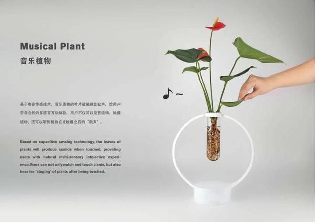 浙大这门课不仅是学生口中的“良心制作”，更能让“美梦”成真
