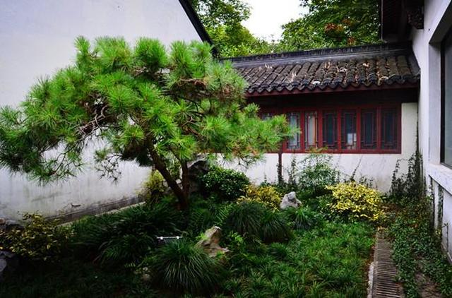 「骆驼旅行-杭州」雾里雨里，我会一直记得你（上）